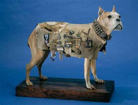 stubby the dog soldier world war i hero